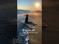 Sunset Dog Dog Viral