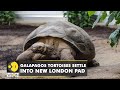 London Zoo Homes Of Three Galapagos Tortoises Latest World News WION News WION