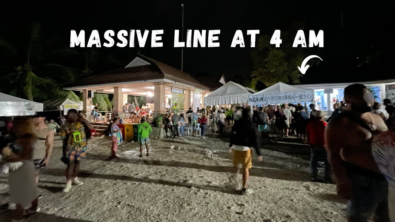 Your complete guide to Whale Shark Watching experience.