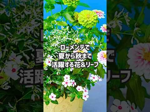 植物を咲かせる方法 新鮮な空気の香り 秋に賭ける 丈夫な植物