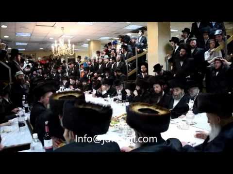 Purim 5776 In Shevet Halevi