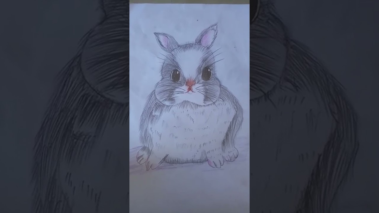 A cute rabbit drawing