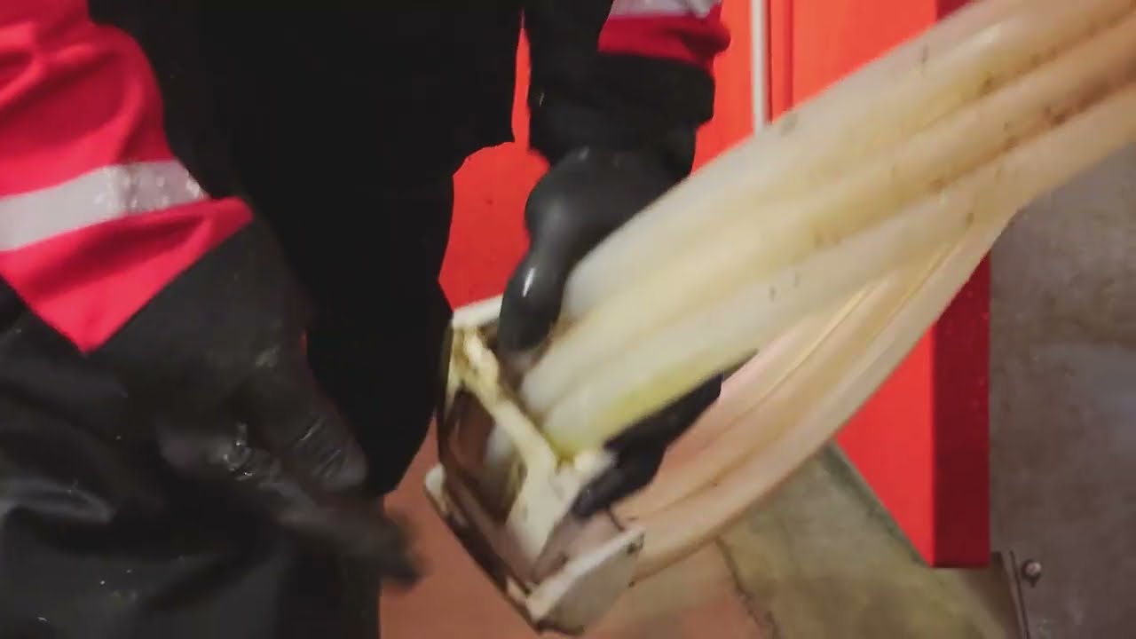 Daglig sjekk og vask av robotarm