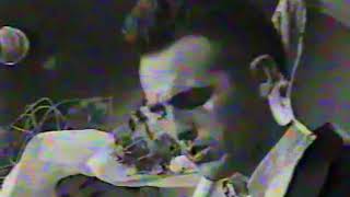 CCCP (A Ja Ljublju SSSR) - live in France