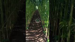 Download lagu Very creative farmer mp3