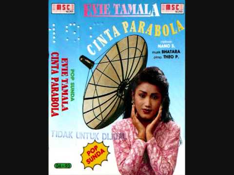 Evie tamala kumis mu