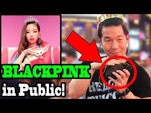 BLACKPINK - DDU-DU DDU-DU 뚜두뚜두 - Kpop Dance in Public!!