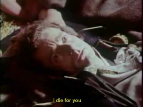 The death of Marshal LANNES - The death of Marshal LANNES - JRC Captain of the Imperial Guard