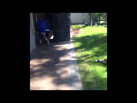 90022 -- An East Los Angeles Story