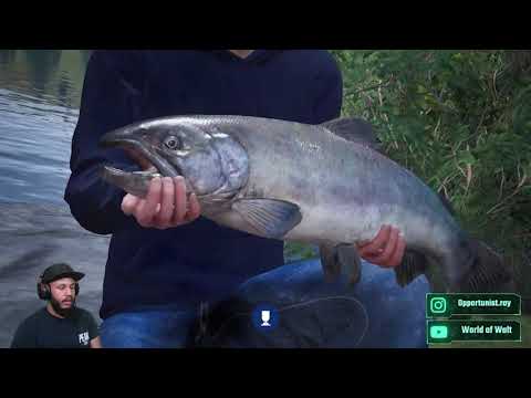 The Catch carp & coarse review