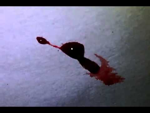 download lagu mp3 mp4 East Indian Utensils In Trinidad, download lagu East Indian Utensils In Trinidad gratis, unduh video klip East Indian Utensils In Trinidad