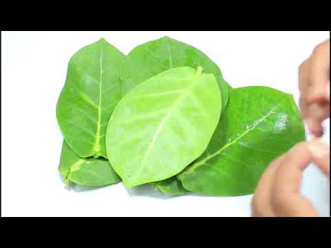 Sugar ke bimare ke bare me