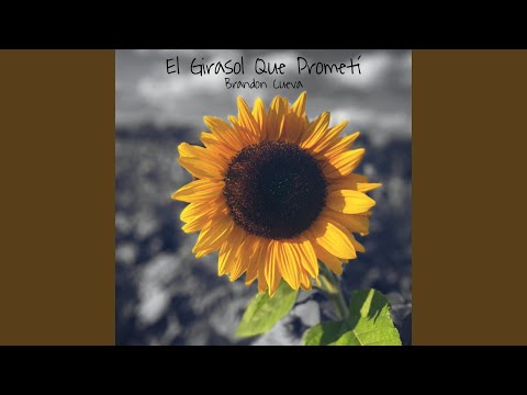 El Girasol Que Prometí - Brandon Cueva