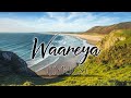 Waareya(LYRICS)Suraj Pe Mangal Bhari | Diljit | Manoj | Fatima |Javed-Mohsin | Kunaal V