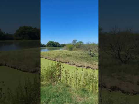 Baradero, Bs As, Argentina. 03/2026