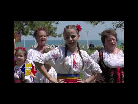 Iulia Elena Pistea - Surioară, surioară - cover, Elena Roizen - Favorit TV