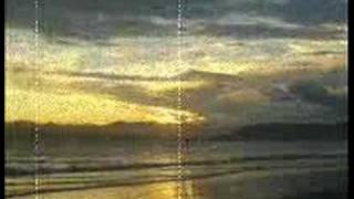 The Slackers - Come Back Baby