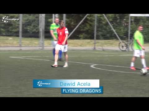 Wollers 1:17 Flying Dragons