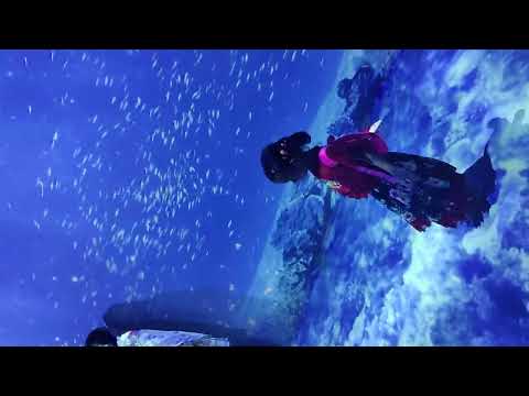 Insiya's Happy Outing