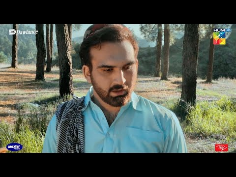 Sabaz Ali Ne Ehsaan Ka Badla Kia Diya..? - Sang-e-Mah - HUM TV