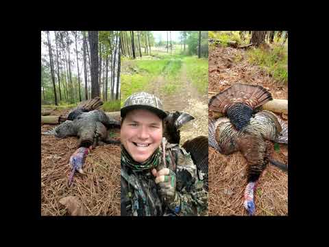 NC Wildlife Turkey Hunting Webinar 3: Techniques & Strategies
