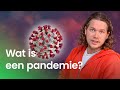 Hoe ontstaat een pandemie?