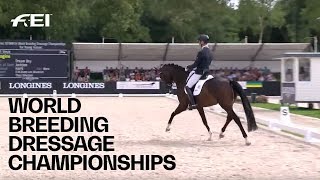 Replays des Finales 5/6/7 ans des Championnats du Monde Jeunes Chevaux