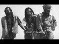 israel vibration - racial discrimination