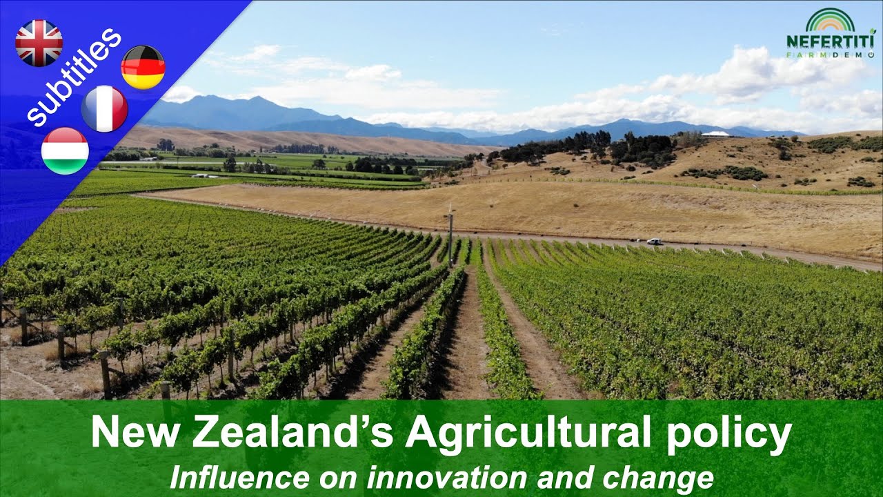 New Zealand's Agricultural policy without subsidies - impact on farmers, innovation and change