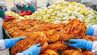 한국인은 왜 김치에 진심일까? 겉절이부터 김치만두까지 김치의 놀라운 변신! Why Are Koreans Crazy About Kimchi? / Koeran street food