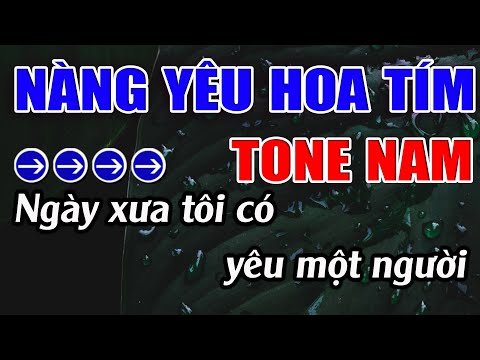 Nàng Yêu Hoa Tím Karaoke Tone Nam Karaoke Lâm Beat - Beat Mới