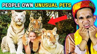 The Most Unusual Pets You Won't Believe People Own: Villager's Reactions ! Tribal People React