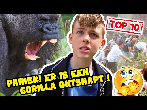 TOP 10 SOORTEN KINDEREN IN EEN DIERENTUIN !!! - De Bakkertjes #810