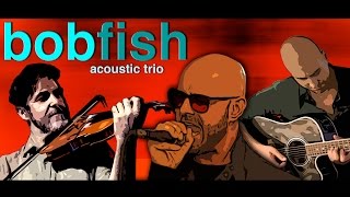 Bobfish - Acoustic Trio ft. Giulio Venier