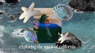 Solo Road Trip to Southern California: Finding Community in the Tide Pools