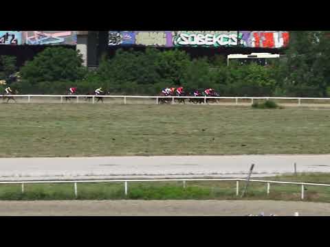 22.5.2022 II Trka - ŠANA - Hipodrom Beograd