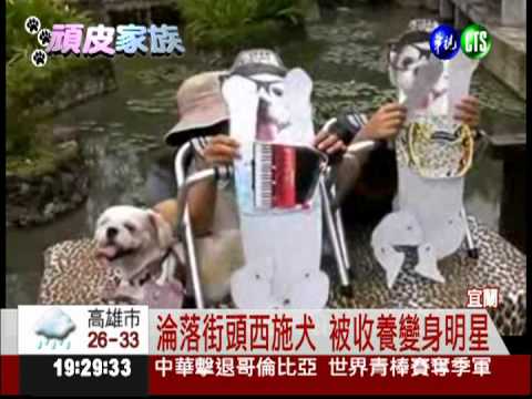 流浪狗變明星! "華仔"行銷宜蘭