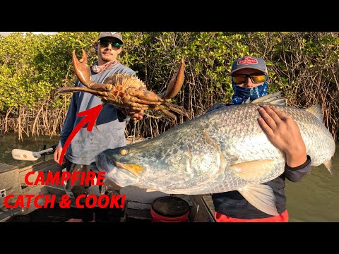 BIG MUD CRAB Catch & Cook in Remote Cape York!!! (Camping & Fishing)