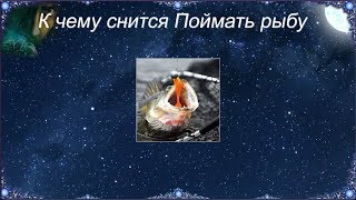 К чему сниться ловля рыбы во сне