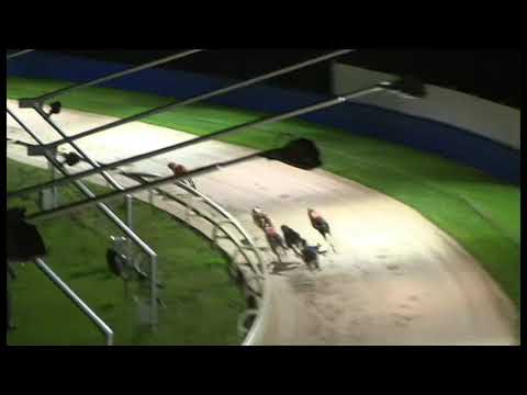 Make No Apologie - Seasons Scaffolding Puppy Trophy Final - Hove