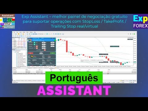 Video Exp Assistant 5