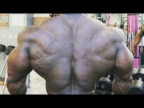 Gym Motivation - Time For BACK DAY