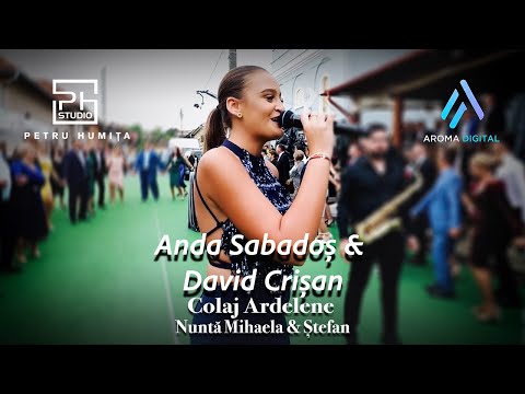 Anda Sabados & David Crisan - Colaj Ardelene | Nunta Mihaela & Stefan