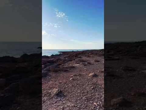Cap de Ses Salines - Lighthouse at the End of Mallorca #shorts #travel #spain