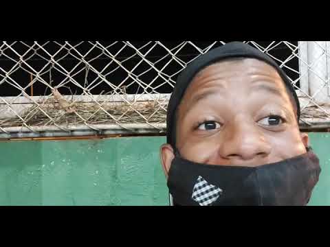 Augusto Sports/Impacto x Pelezinho Sub 13 -  1° Fase Copa JP Tia Eva Edição 2021