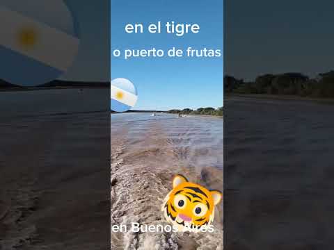video de vistas el mar en el tigre o puerto de frutos en buenos aires