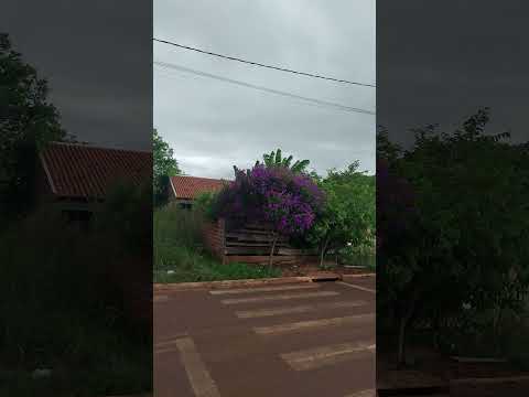 Ventos fortes Indianopolis Pr.