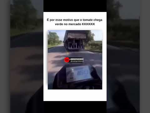 É POR ESSE MOTIVO QUE O TOMATE CHEGA VERDE NO MERCADO