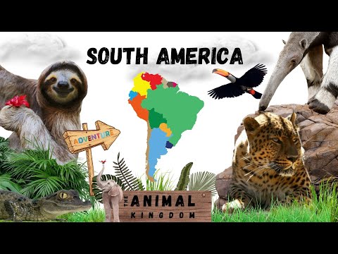 Discover 30 South American Animals: Fun Learning for Kids