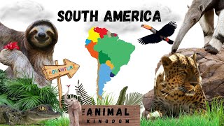Discover 30 South American Animals: Fun Learning for Kids gameplay video by mgorham, 4:07 duration